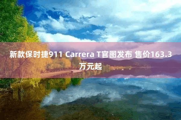 新款保时捷911 Carrera T官图发布 售价163.3万元起