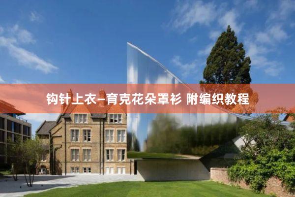 钩针上衣—育克花朵罩衫 附编织教程
