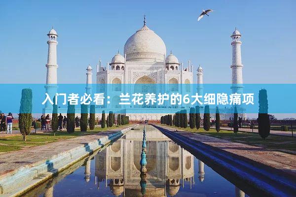 入门者必看：兰花养护的6大细隐痛项
