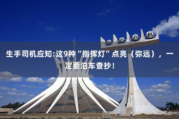 生手司机应知:这9种“指挥灯”点亮（弥远），一定要泊车查抄！
