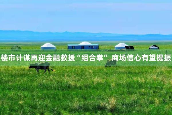 楼市计谋再迎金融救援“组合拳” 商场信心有望提振