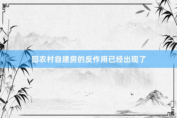 回农村自建房的反作用已经出现了