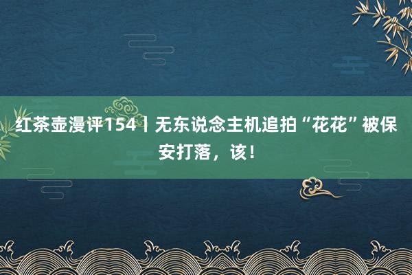 红茶壶漫评154丨无东说念主机追拍“花花”被保安打落，该！