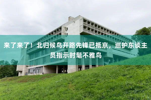 来了来了！北归候鸟开路先锋已抵京，巡护东谈主员指示时髦不雅鸟