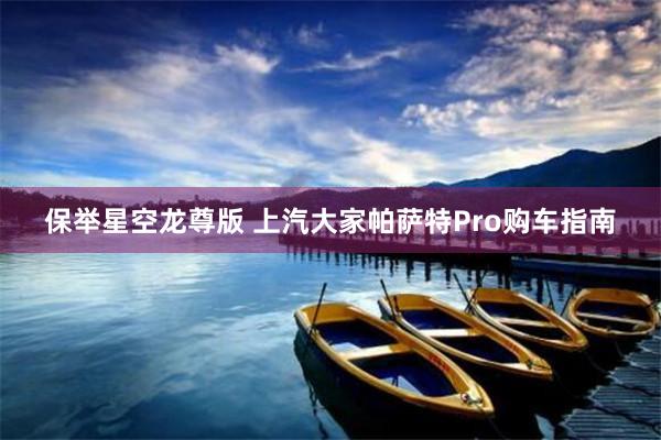 保举星空龙尊版 上汽大家帕萨特Pro购车指南