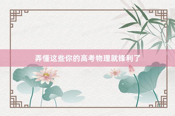 弄懂这些你的高考物理就锋利了